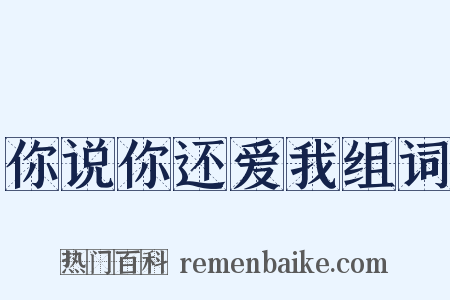 你说你还爱我组词是什么意思的图片